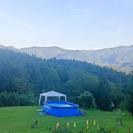 Apartmaji Borstner Vransko Esterno foto