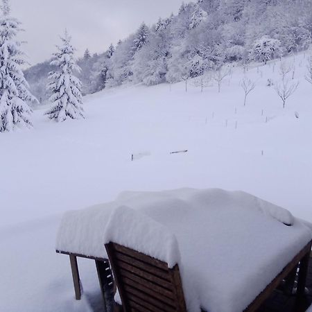 Apartmaji Borstner Vransko Esterno foto