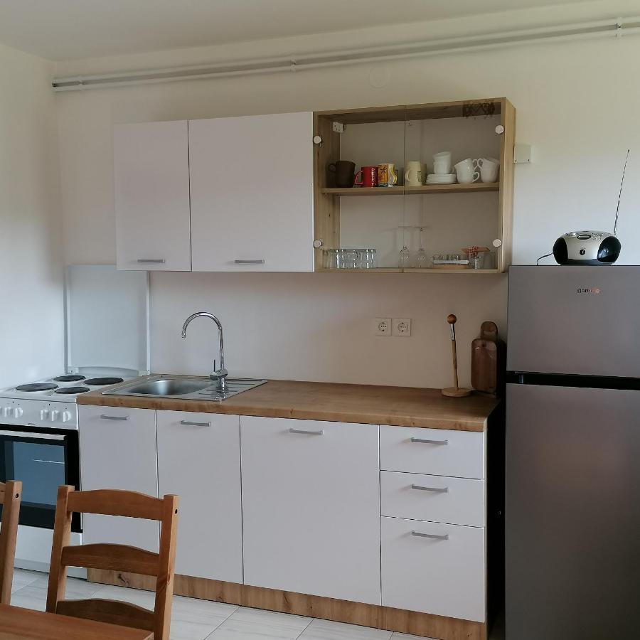 Apartmaji Borstner Vransko Esterno foto