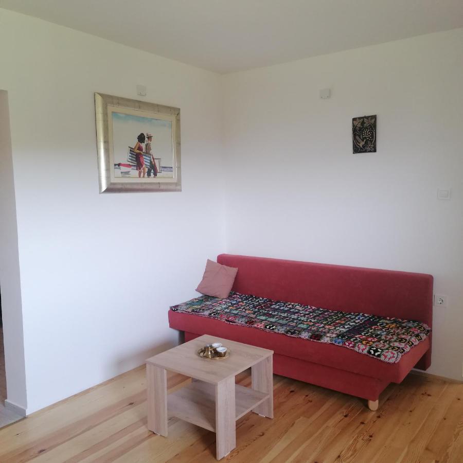 Appartamento Apartmaji Borstner Vransko Esterno foto