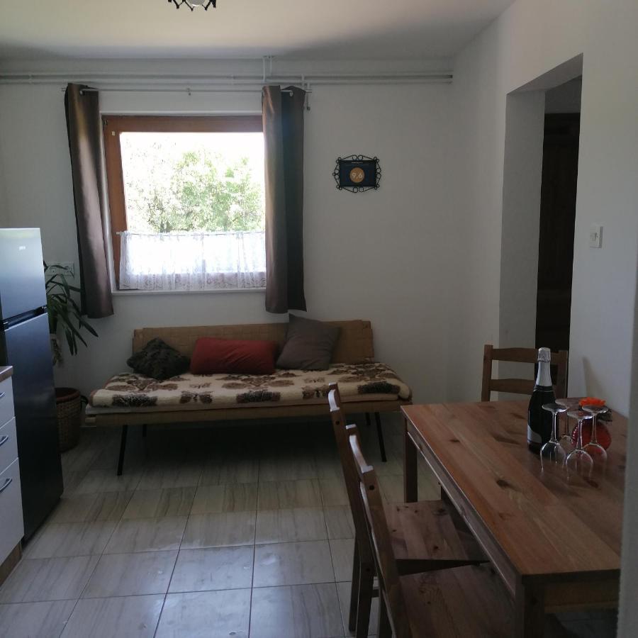 Appartamento Apartmaji Borstner Vransko Esterno foto