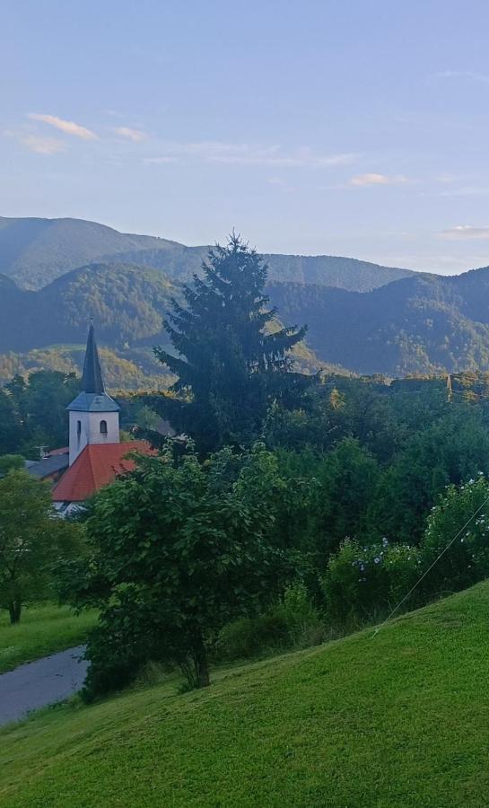 Apartmaji Borstner Vransko Esterno foto