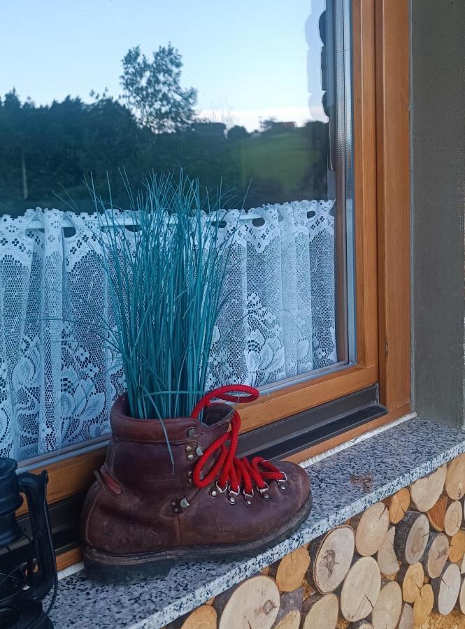 Apartmaji Borstner Vransko Esterno foto