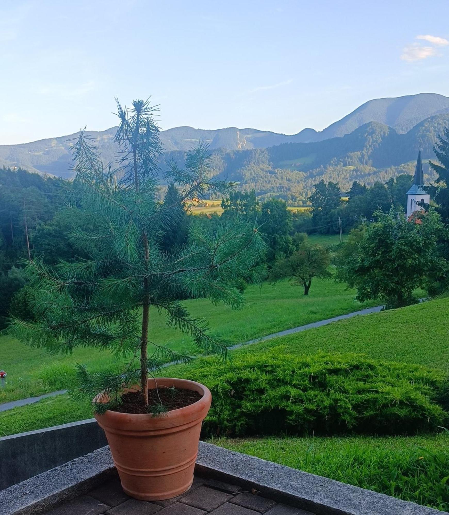 Apartmaji Borstner Vransko Esterno foto