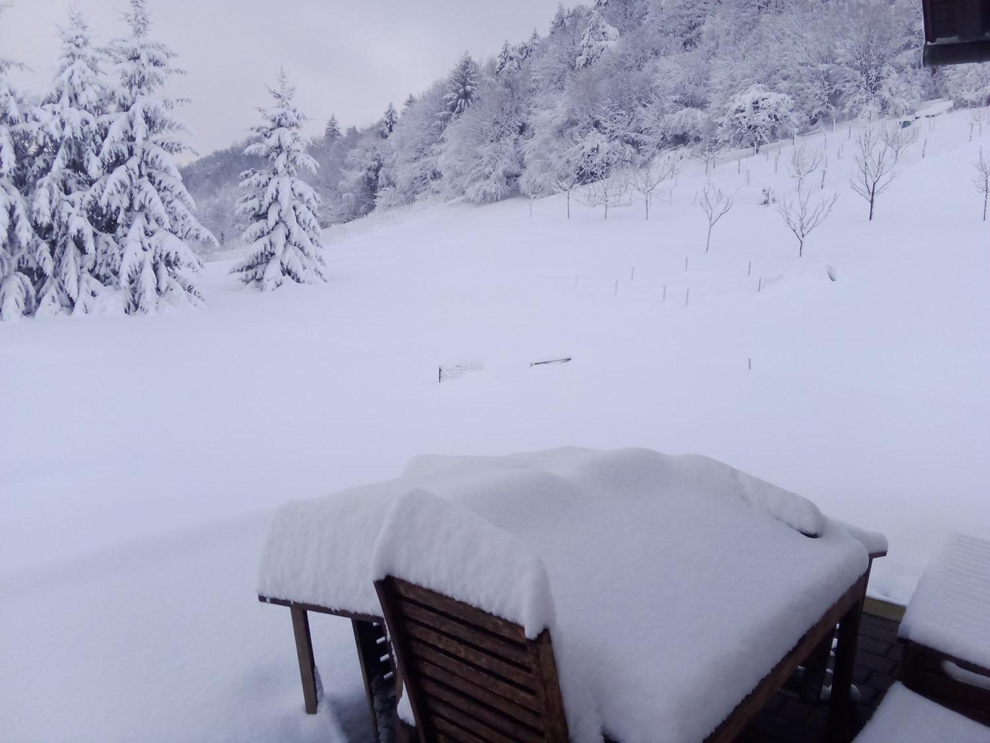 Apartmaji Borstner Vransko Esterno foto