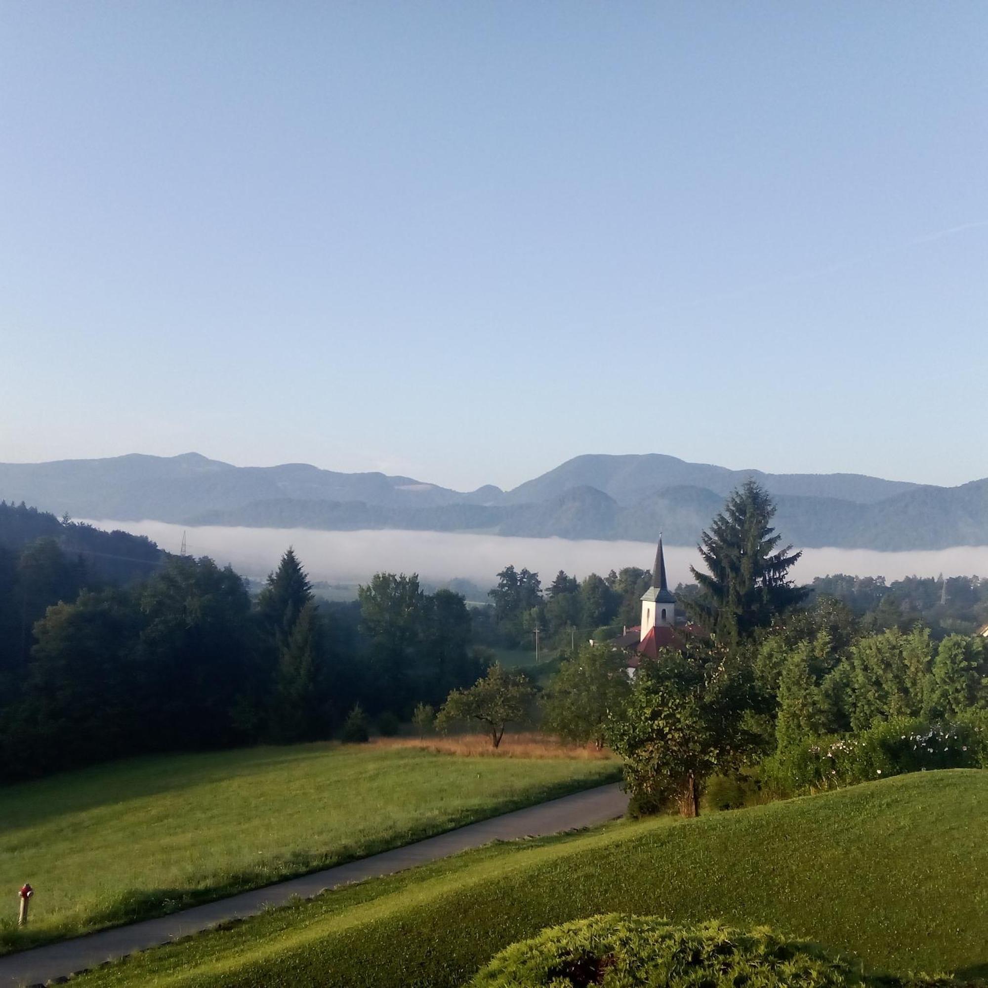 Apartmaji Borstner Vransko Esterno foto