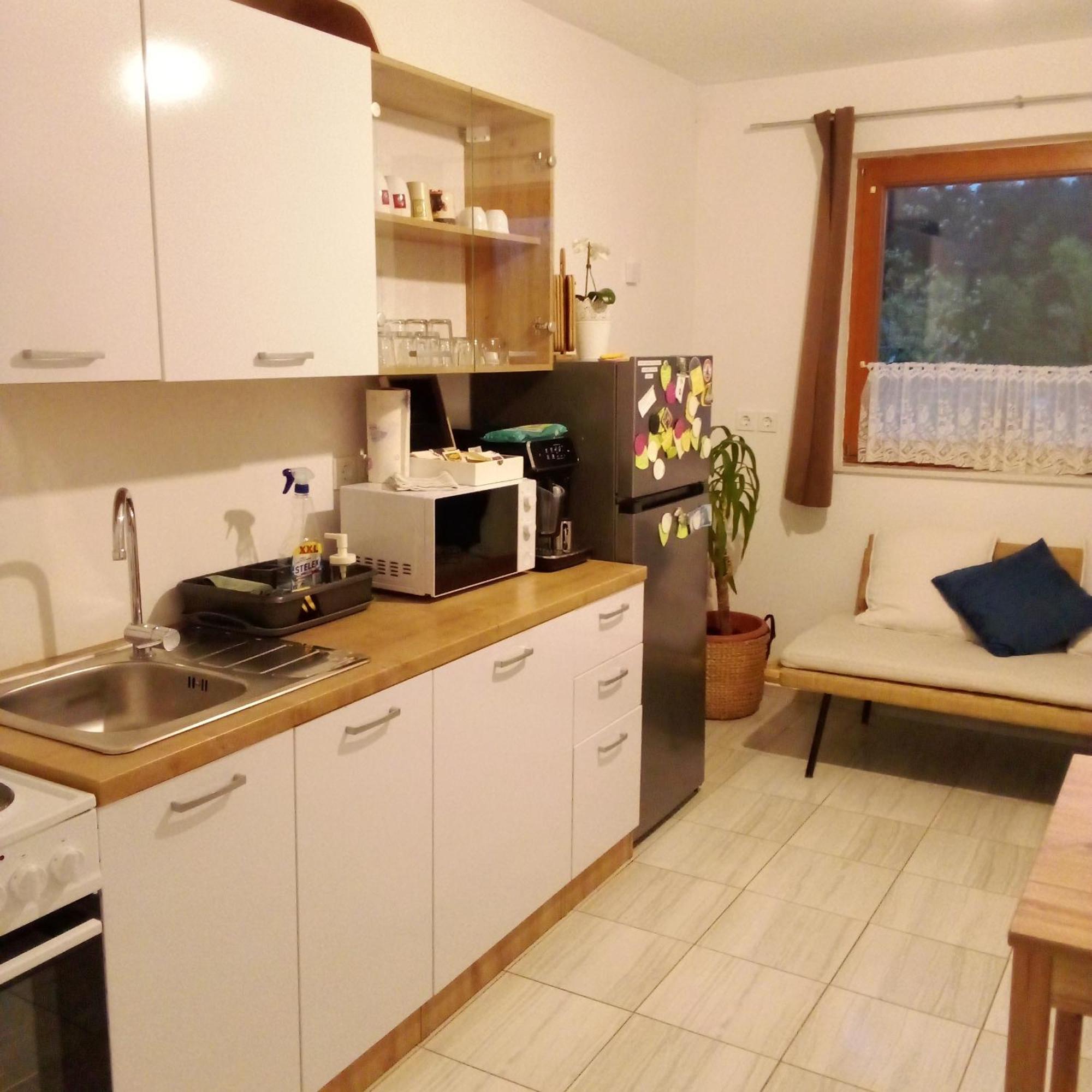 Apartmaji Borstner Vransko Esterno foto